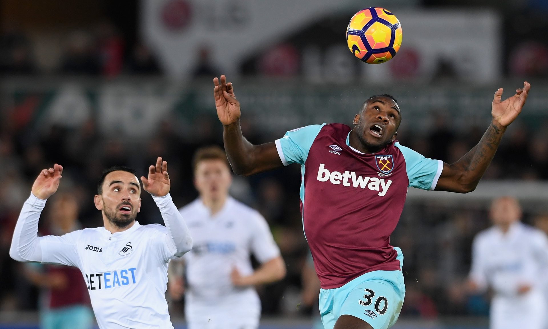 理想的居住 理想的居住